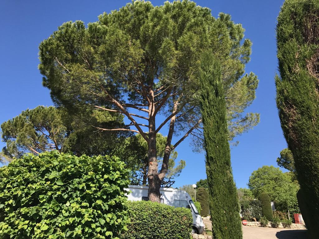 Camping La Paoute Grasse Exterior photo